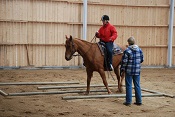 Clinic 2012
