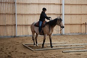 Clinic 2012
