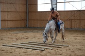 Clinic 2012