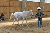 wrd2013